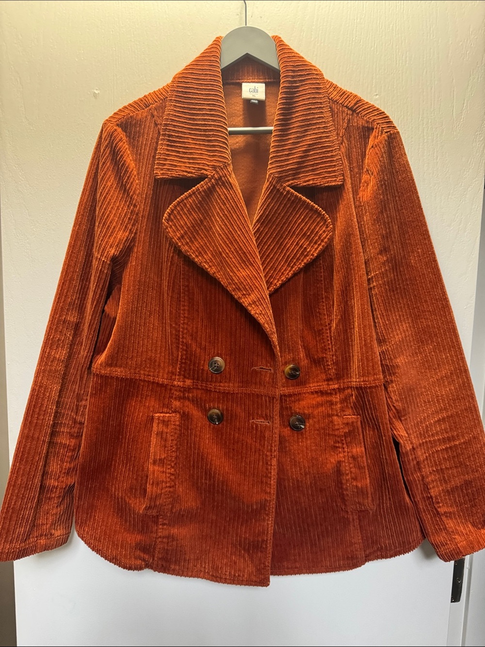 CAbi Professor Peacoat